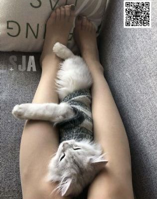 网红尤物爆乳麻酥酥自慰_1080在线手机播放